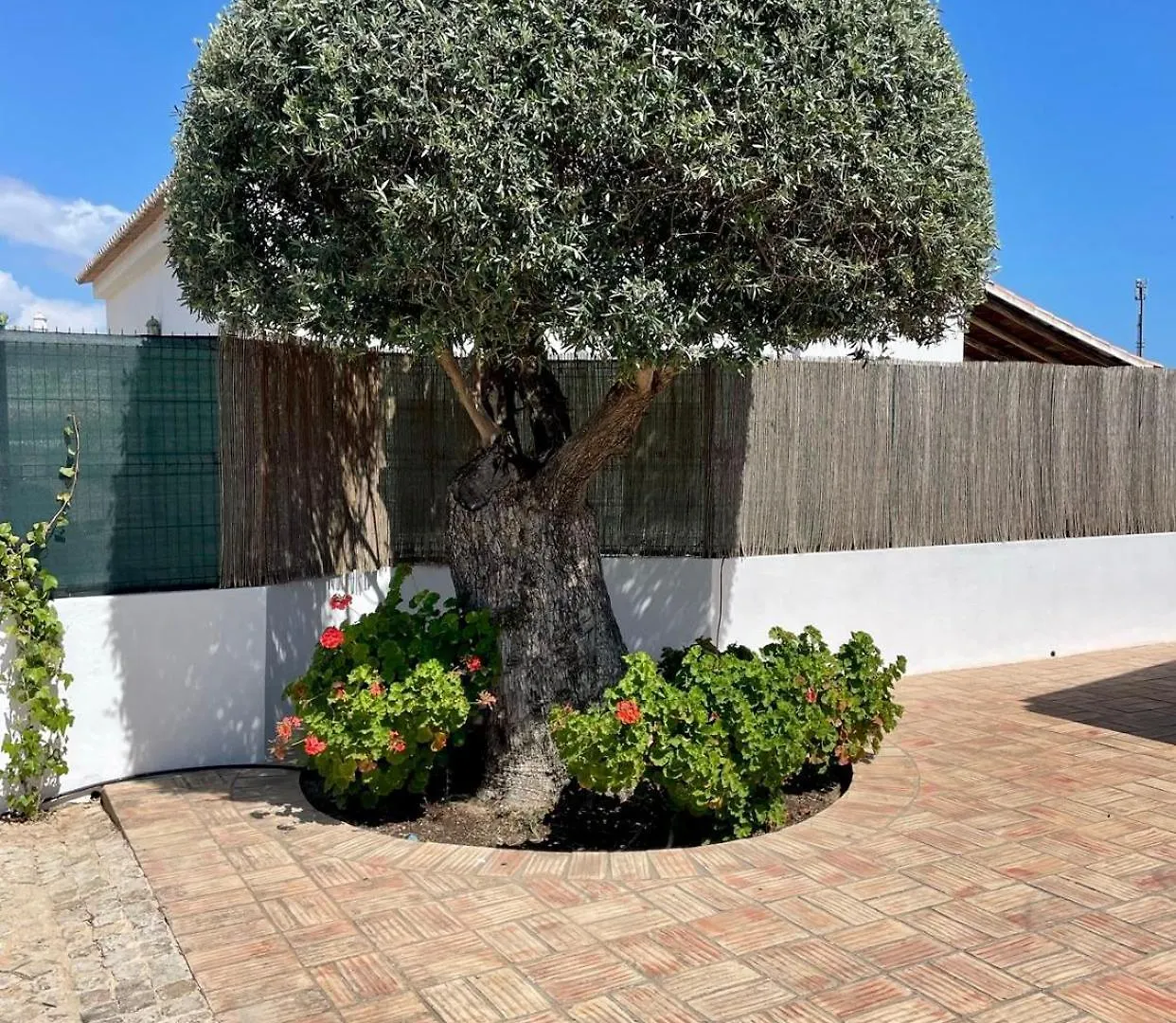Villa Ben - Private Pool Garden, Sun All Day Albufeira 0*,  Portugal